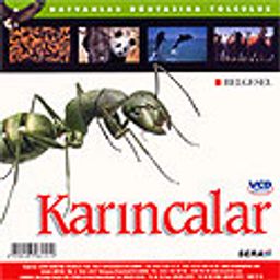 Karıncalar (VCD)