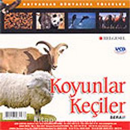 Koyunlar Keçiler (VCD)
