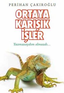 Ortaya Karışık İşler