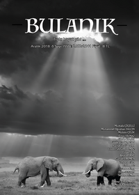 Bulanık Dergi Yıl:1 Sayı:6 Aralık 2018