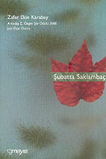 Şubatta Saklambaç/Arkadaş Z. Özger Şiir Ödülü 2000 Jüri Özel Ödülü