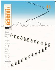 Acemi Aktüel İki Aylık Popüler Edebiyat Dergisi Kasım-Aralık Sayı:41