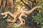 Montessori Ahşap Zeka Oyunları / w-3D Puzzle- Velociraptor