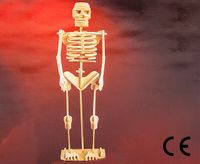Montessori Ahşap Zeka Oyunları / w-3D Puzzle- Human Skeleton