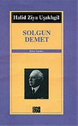 Solgun Demet