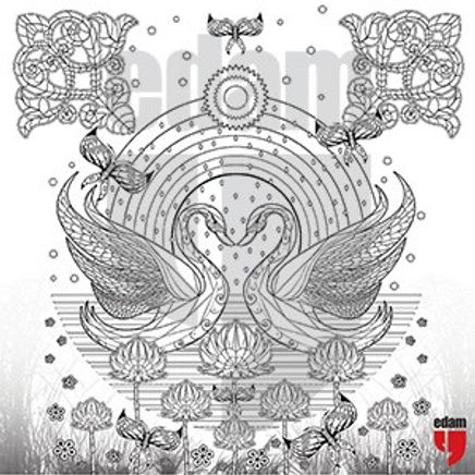 Nuh'un Gemisi Tablo Boyama Serisi 1 - Kuğu