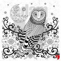 Nuh'un Gemisi Tablo Boyama Serisi 4 - Baykuş