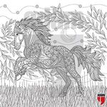 Nuh'un Gemisi Tablo Boyama Serisi 6 - At