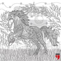 Nuh'un Gemisi Tablo Boyama Serisi 6 - At