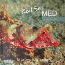 Red Sea in the Med - Murat Draman