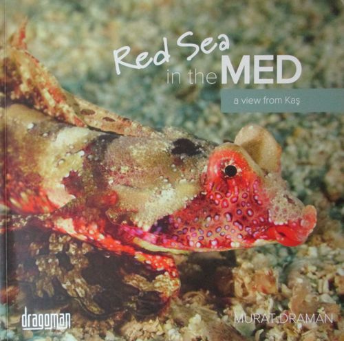 Red Sea in the Med