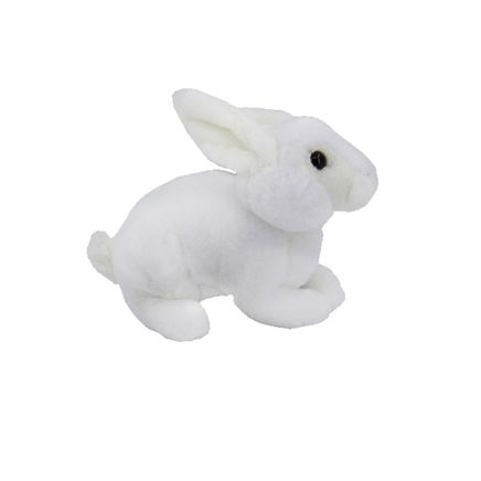 Pofuduk Tavşan (776581)