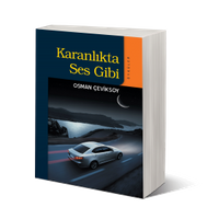 Karanlıkta Ses Gibi