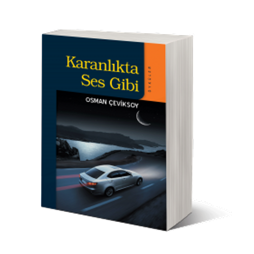 Karanlıkta Ses Gibi