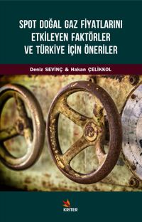 Spot Doğal Gaz Fiyatlarını Etkileyen Faktörler ve Türkiye İçin Öneriler