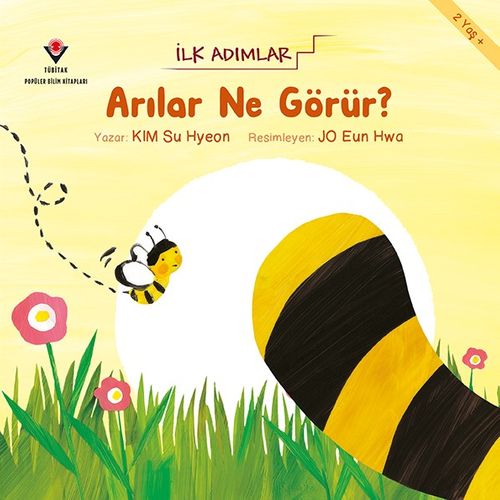 Arılar Ne Görür? - İlk Adımlar