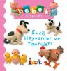 Evcil Hayvanlar ve Yavruları