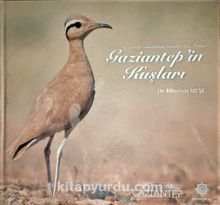 Gaziantep’in Kuşları & Gaziantep Semalarında Görülen Kuş Türleri
