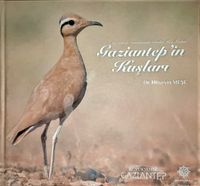 Gaziantep’in Kuşları & Gaziantep Semalarında Görülen Kuş Türleri