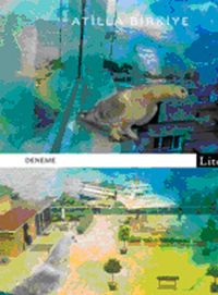 İstanbul'da Mavi Bir Tereddüt