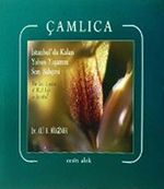 Çamlıca