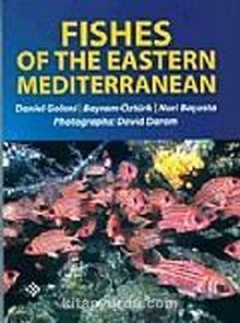 Fishes Of The Eastern Mediterranean