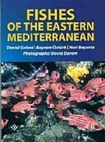 Fishes Of The Eastern Mediterranean