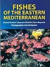 Fishes Of The Eastern Mediterranean