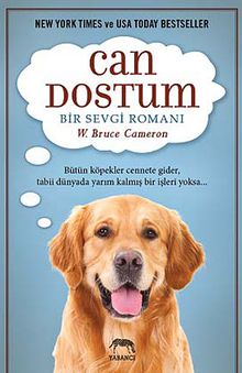 Can Dostum & Bir Sevgi Romanı