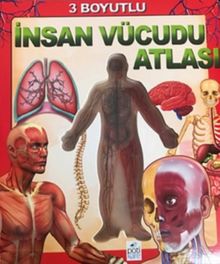 3 Boyutlu İnsan Vücudu Atlası