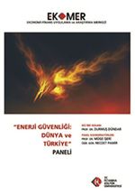 Enerji Güvenliği Dünya ve Türkiye Paneli 2010