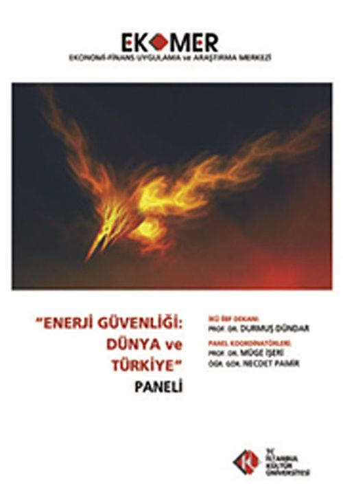 Enerji Güvenliği Dünya ve Türkiye Paneli 2010