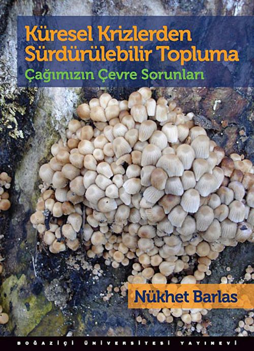 Küresel Krizlerden Sürdürülebilir Topluma & Çağımızın Çevre Sorunları