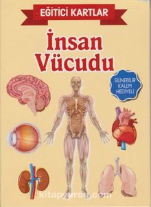 İnsan Vücudu / Eğitici Kartlar - Kolektif