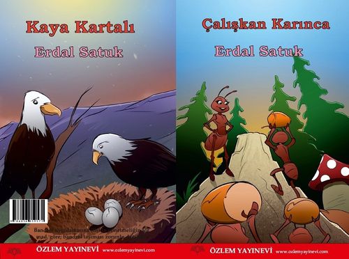 Çalışkan Karınca - Kaya 