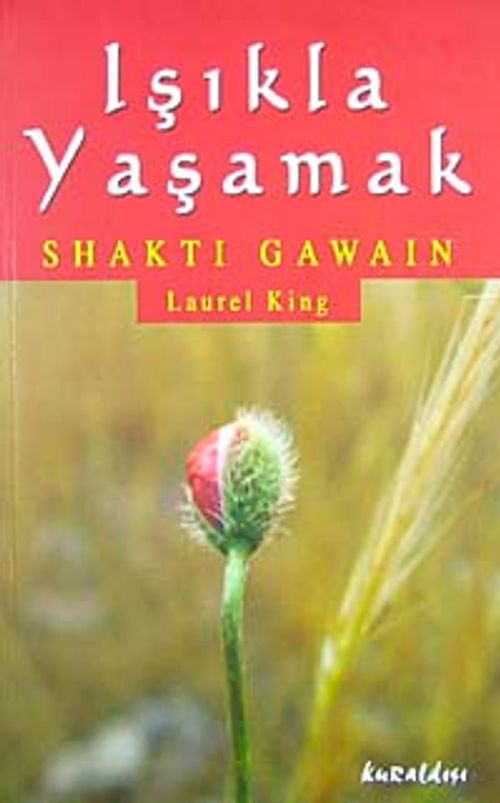Işıkla Yaşamak