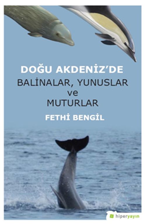 Doğu Akdeniz'de Balinalar, Yunuslar ve Muturlar