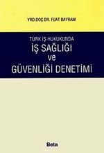 İş Sağlığı ve Güvenliği Denetimi / Türk İş Hukukunda