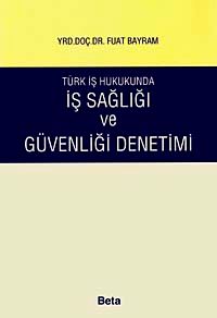 İş Sağlığı ve Güvenliği Denetimi / Türk İş Hukukunda