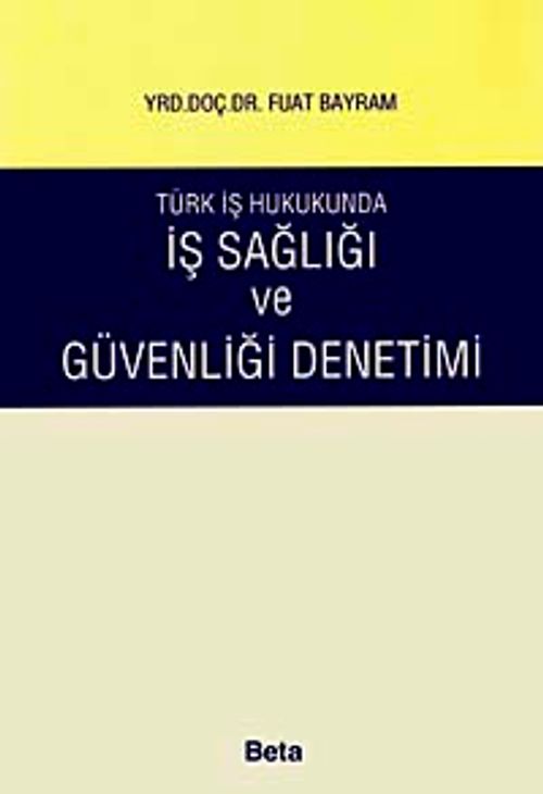 İş Sağlığı ve Güvenliği Denetimi / Türk İş Hukukunda