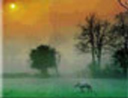 Bilgi Çağı Ansiklopedisi Cd-Rom 7 Canlılar