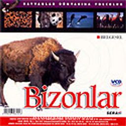Bizonlar (VCD)