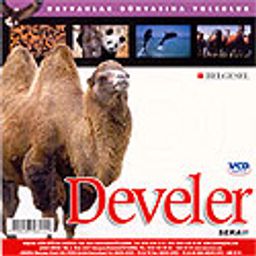 Develer (VCD)