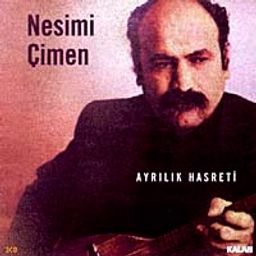Ayrılık Hasreti (2 Cd)