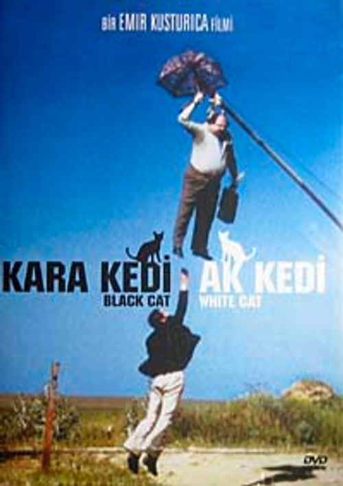 Kara Kedi Ak Kedi (DVD)