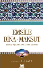 Emsile Bina - Maksud