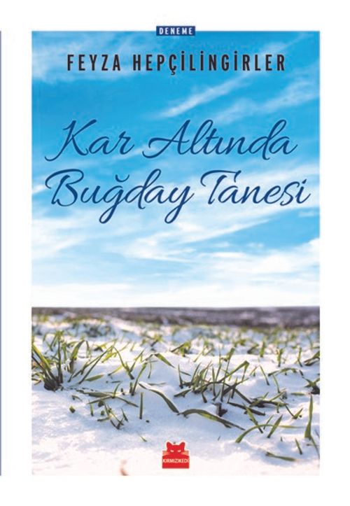 Kar Altında Buğday Tanesi 