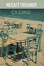 Çılgınsı
