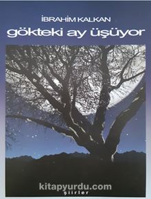 Gökteki Ay Üşüyor - İbrahim Kalkan