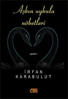 Aşkın Uykulu Nöbetleri